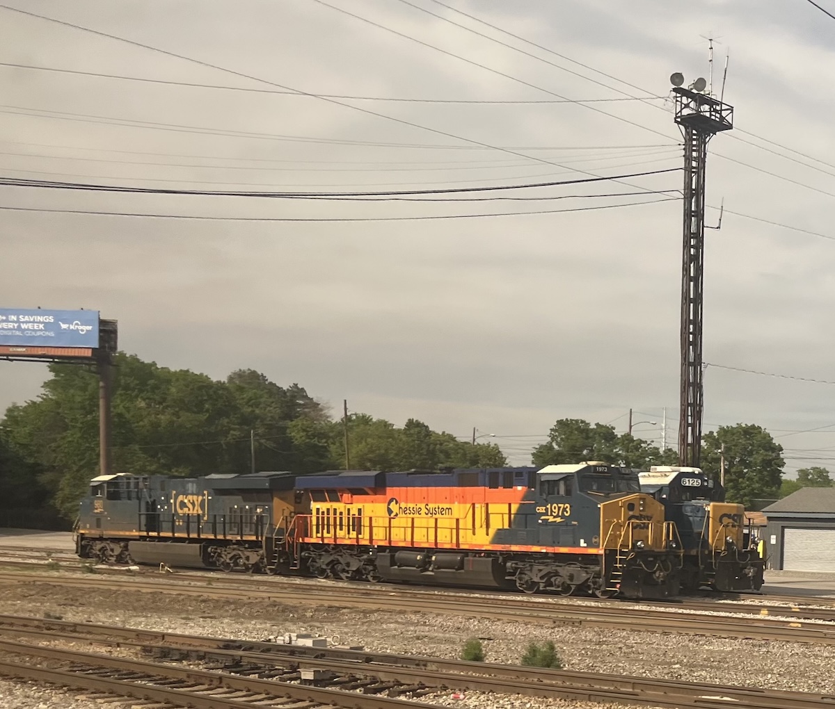 Chessie Engine - Taking the Scenic Route: Chicago to Miami on Amtrak’s Floridian - Frayed Passport