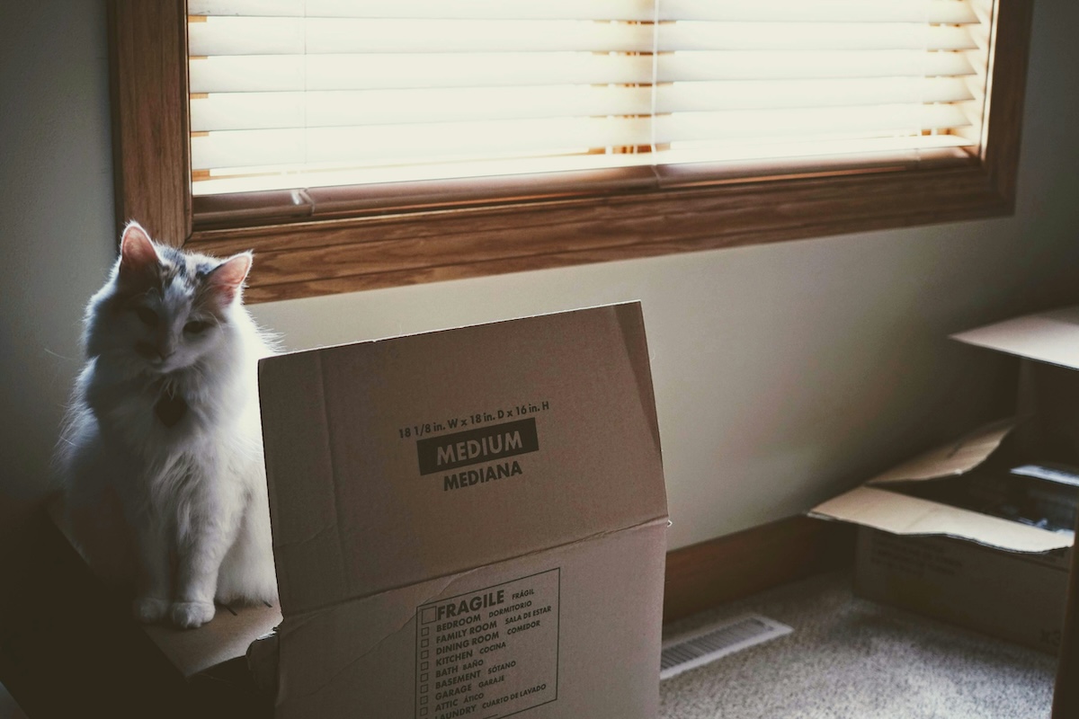 1-3 months before the move - Moving Overseas Checklist: Things to Do Before Moving Abroad - Frayed Passport
