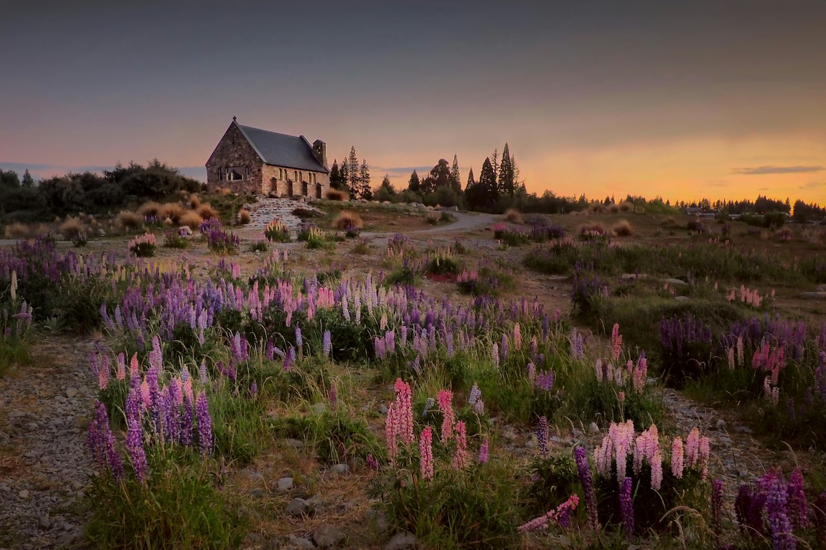 New Zealand - Which Magical Destination Should You Visit? 8 Places That'll Make You Feel Like a Real-Life Fairy Queen - Frayed Passport