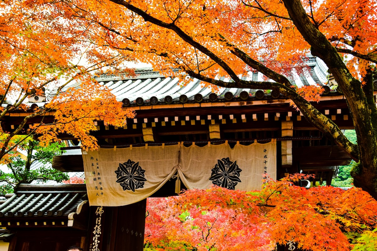 Kyoto, Japan - The Best Solo Travel Destinations for Every Myers-Briggs Personality Type - Frayed Passport