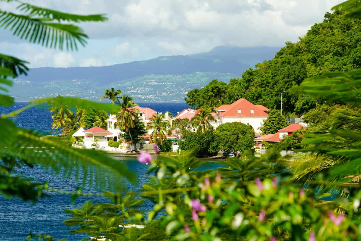 pick-your-favorite-fruits-and-we-will-reveal-your-perfect-caribbean-island-match-frayed-passport Pick Your Favorite Fruits and We'll Reveal Your Perfect Caribbean Island Match! - Frayed Passport