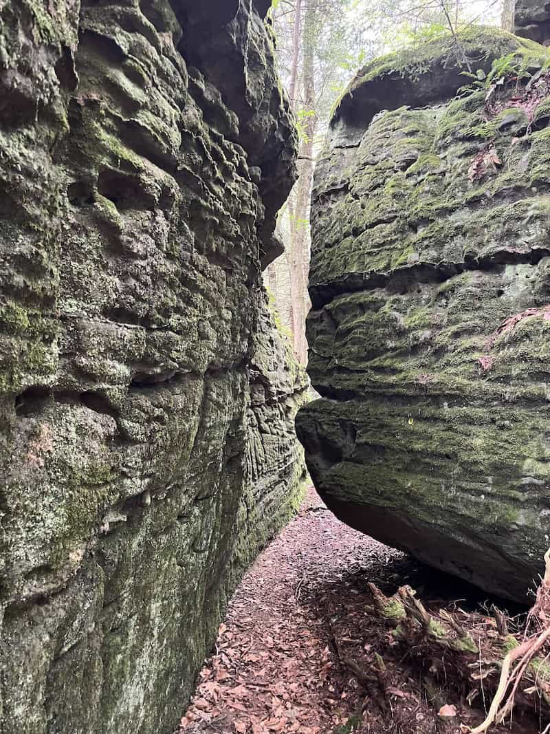 Bilger - Feeling Presidential: Exploring the Roosevelt Railcar and Western Pennsylvania - Frayed Passport
