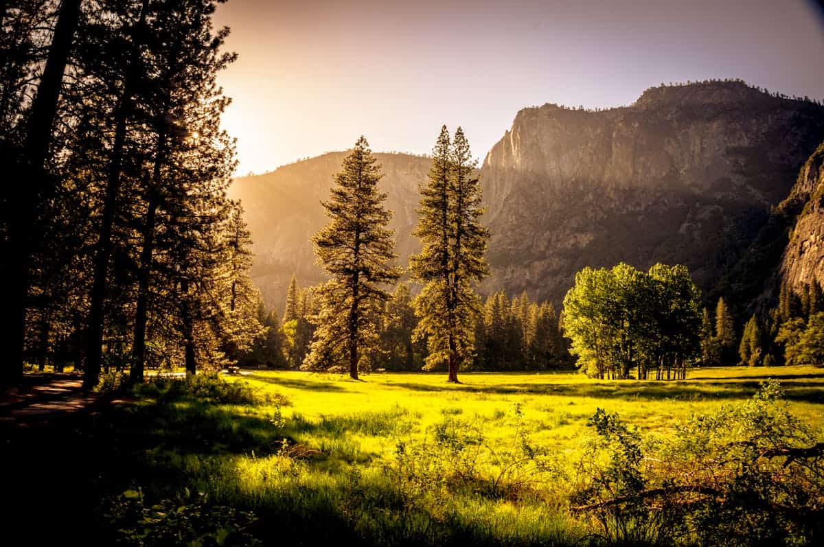 Captivating autumn scene with sunlit forest clearing and mountains at sunset, perfect for nature backgrounds.