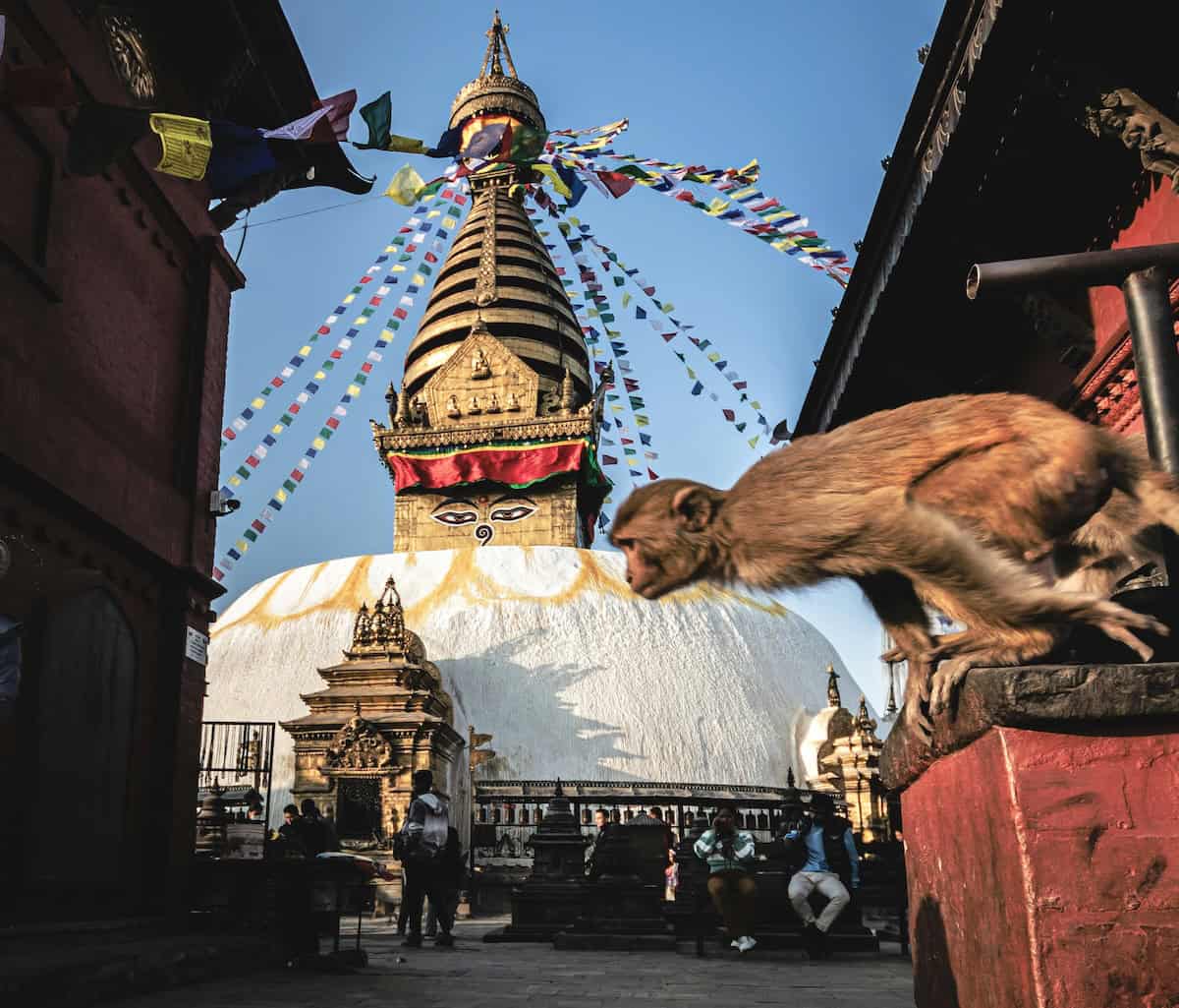 Kathmandu, Nepal - Live on Less Than $1K Monthly? 5 Digital Nomad Locations Where It's Possible - Frayed Passport