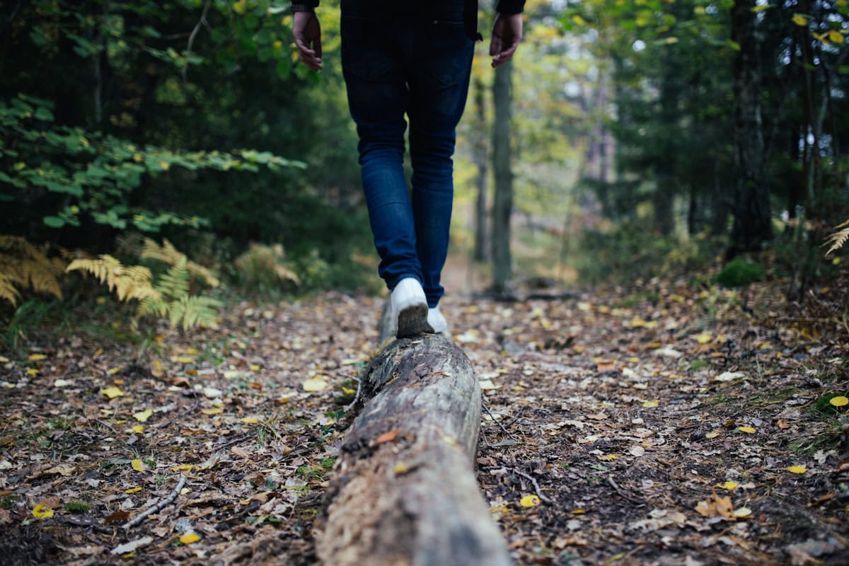 Photo by Jon Flobrant 20 Ways to Get Back to Nature on Your Next Road Trip