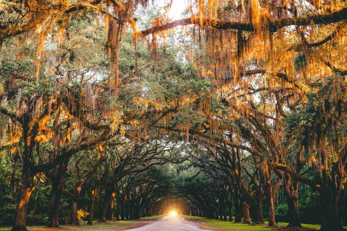 Savannah, Georgia - 10 Alternative Fall Break Destinations & Ideas That Are Affordable - Frayed Passport