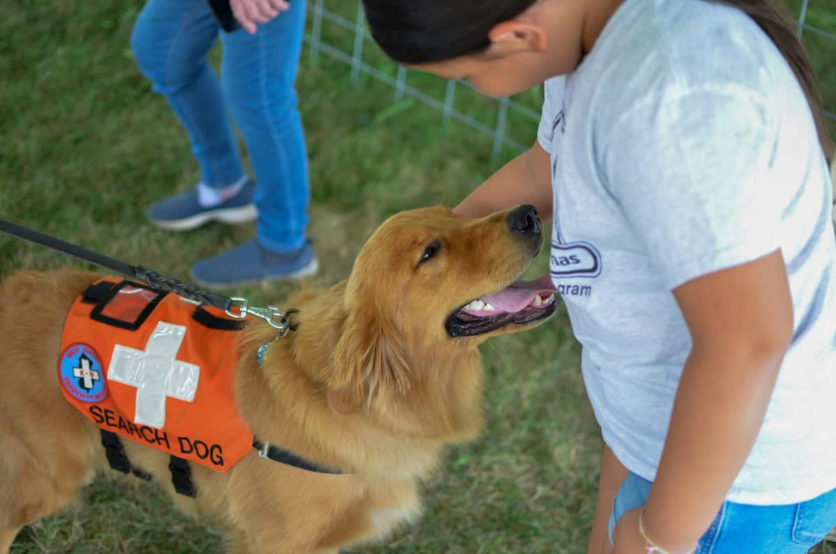Volunteering - 10 Alternative Fall Break Destinations & Ideas That Are Affordable - Frayed Passport