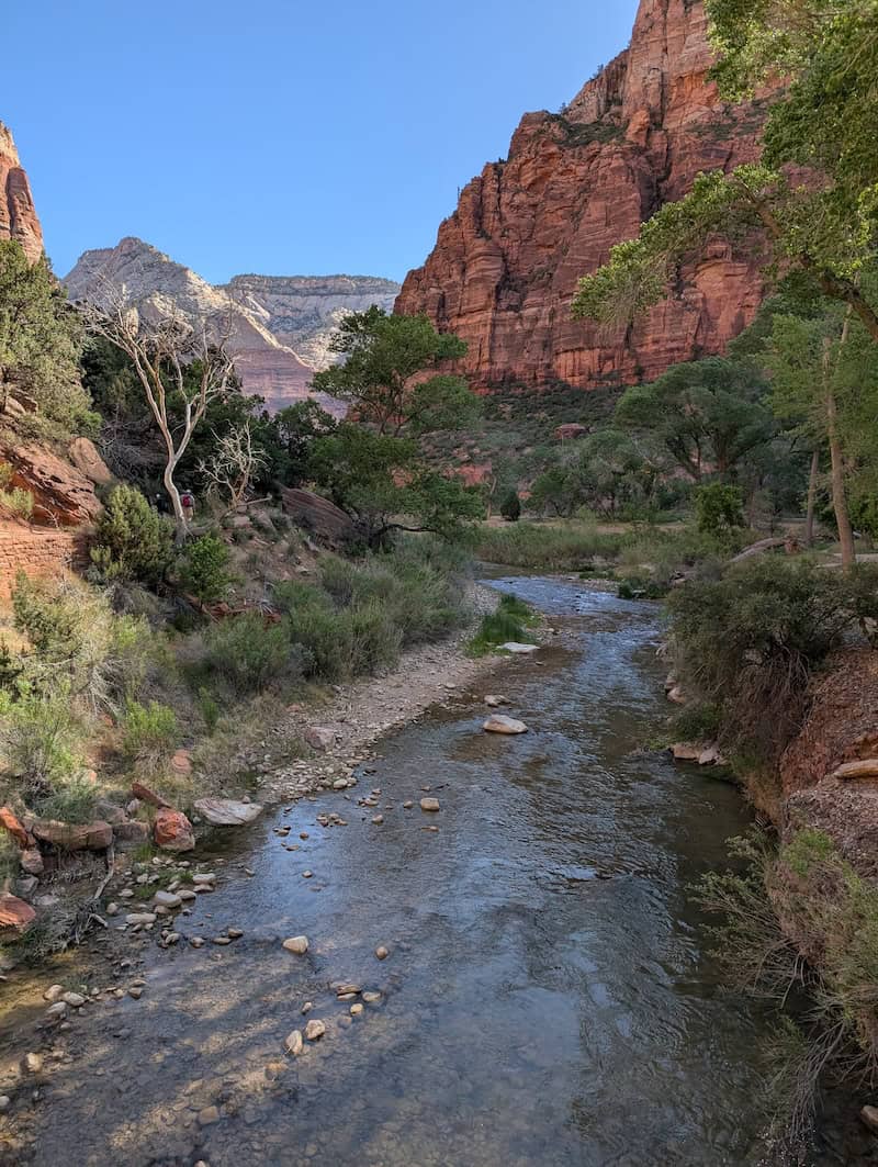 Virgin River - 4 Easy Hikes You Can Do Over 2 Days in Zion National Park - Scout Lookout, Pa'rus Trail & More - Frayed Passport
