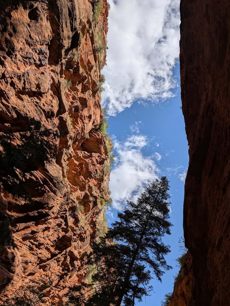 Scout Lookout - 4 Easy Hikes You Can Do Over 2 Days in Zion National Park - Scout Lookout, Pa'rus Trail & More - Frayed Passport