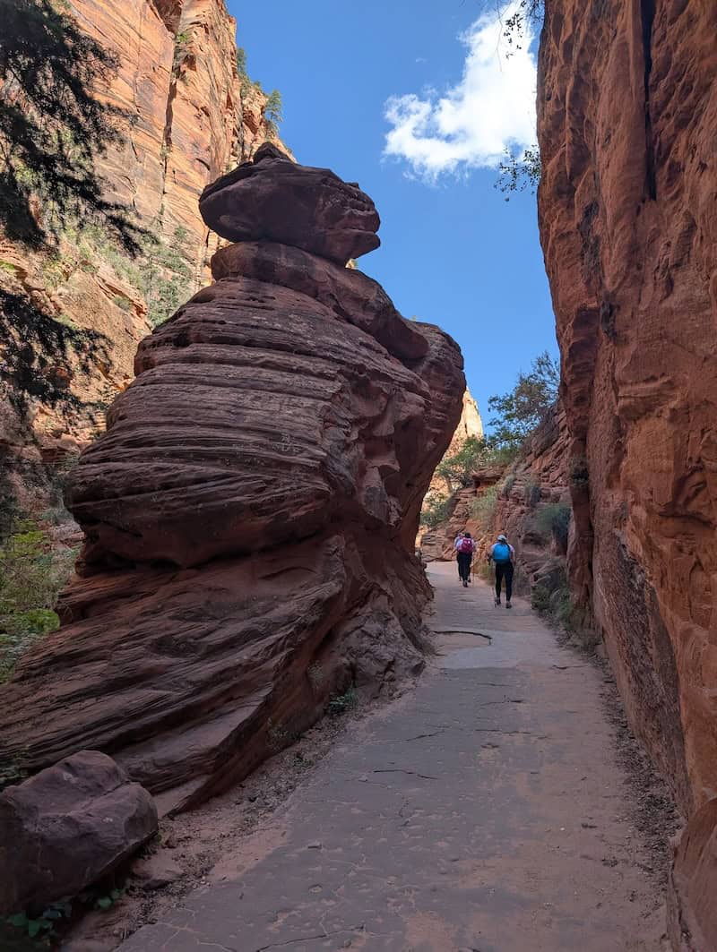 Scout Lookout - 4 Easy Hikes You Can Do Over 2 Days in Zion National Park - Scout Lookout, Pa'rus Trail & More - Frayed Passport