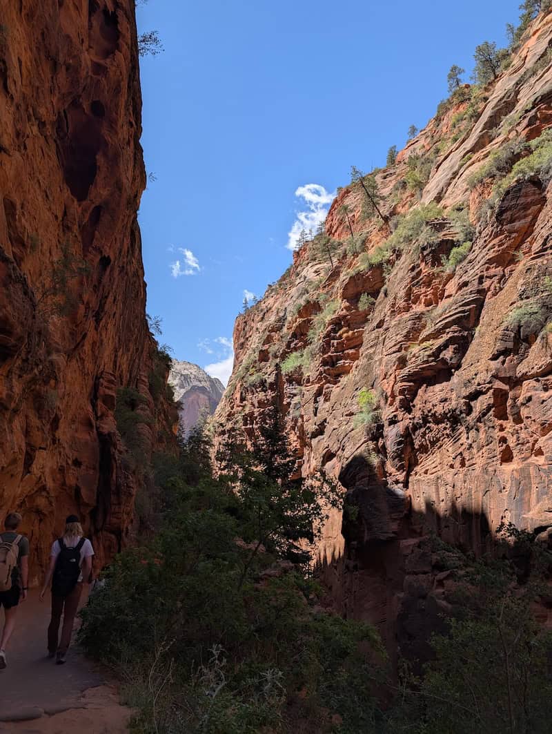 Scout Lookout - 4 Easy Hikes You Can Do Over 2 Days in Zion National Park - Scout Lookout, Pa'rus Trail & More - Frayed Passport