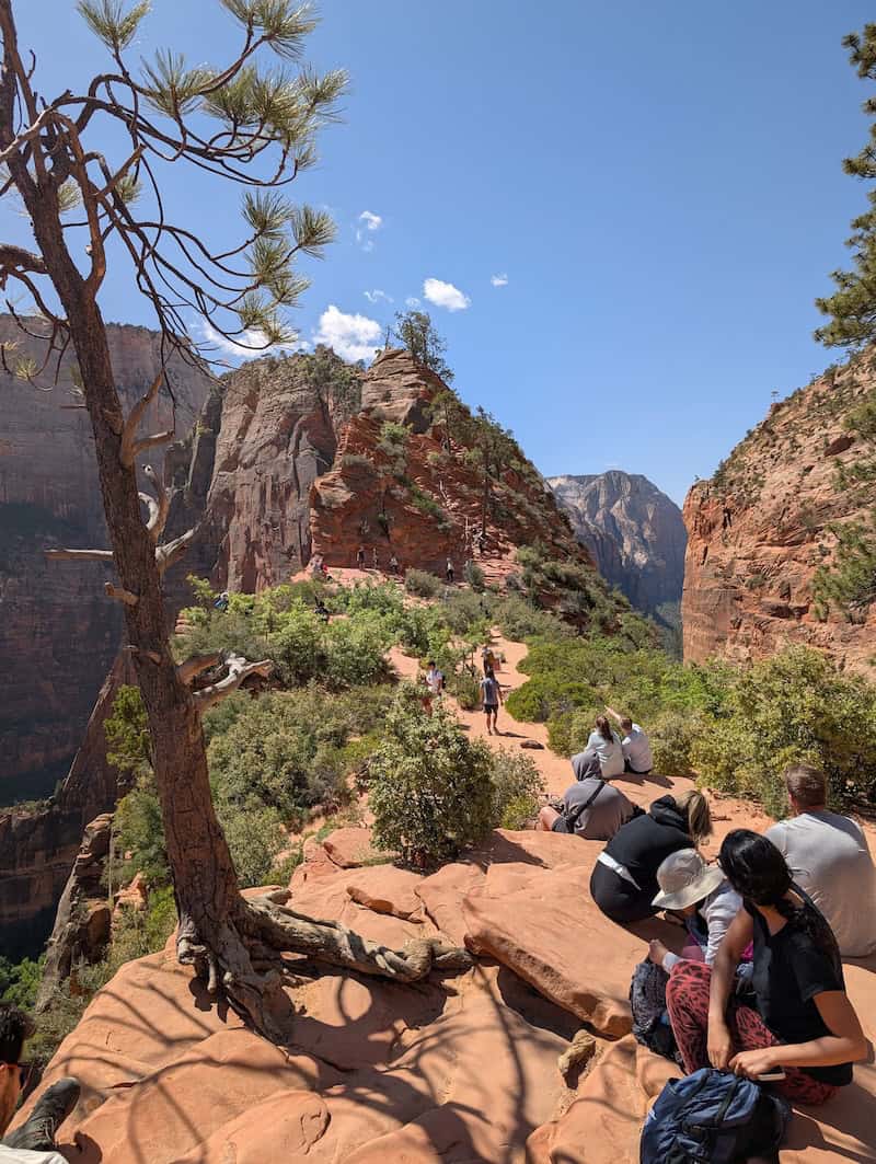 View of Angels Landing from Scout Lookout - 4 Easy Hikes You Can Do Over 2 Days in Zion National Park - Scout Lookout, Pa'rus Trail & More - Frayed Passport