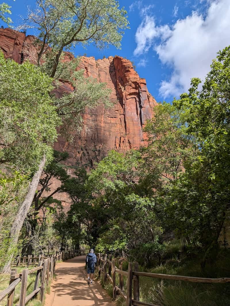 Riverside Walk - 4 Easy Hikes You Can Do Over 2 Days in Zion National Park - Scout Lookout, Pa'rus Trail & More - Frayed Passport