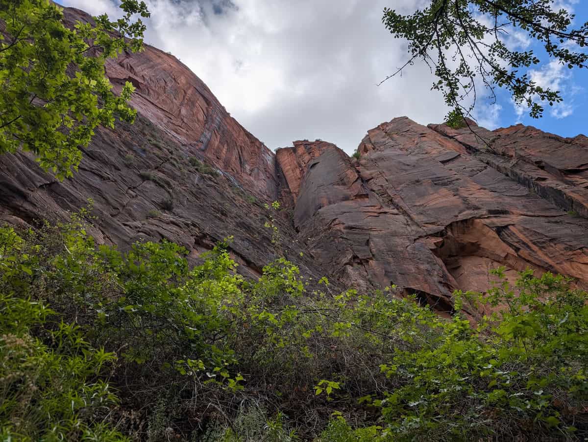Riverside Walk - 4 Easy Hikes You Can Do Over 2 Days in Zion National Park - Scout Lookout, Pa'rus Trail & More - Frayed Passport