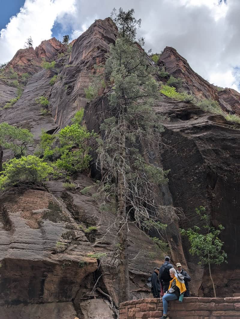 Riverside Walk - 4 Easy Hikes You Can Do Over 2 Days in Zion National Park - Scout Lookout, Pa'rus Trail & More - Frayed Passport