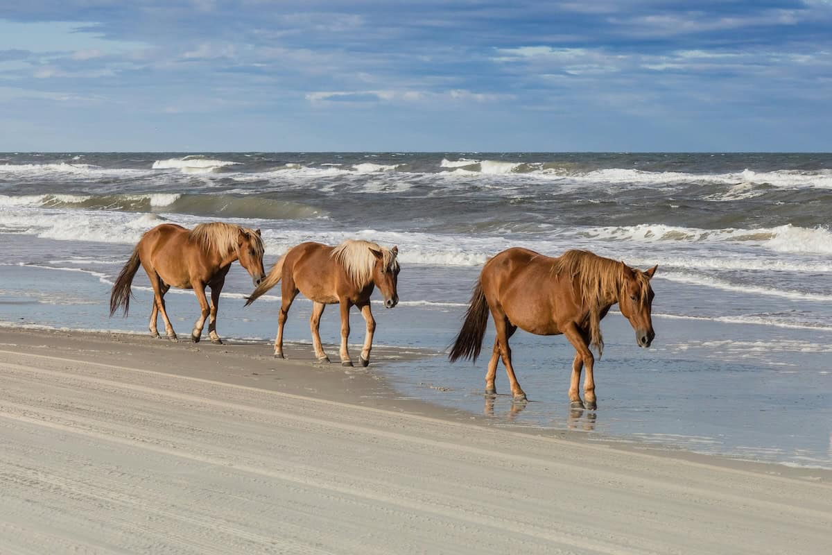 Outer Banks, NC - The Best Family Vacation Destinations on the East Coast - Frayed Passport