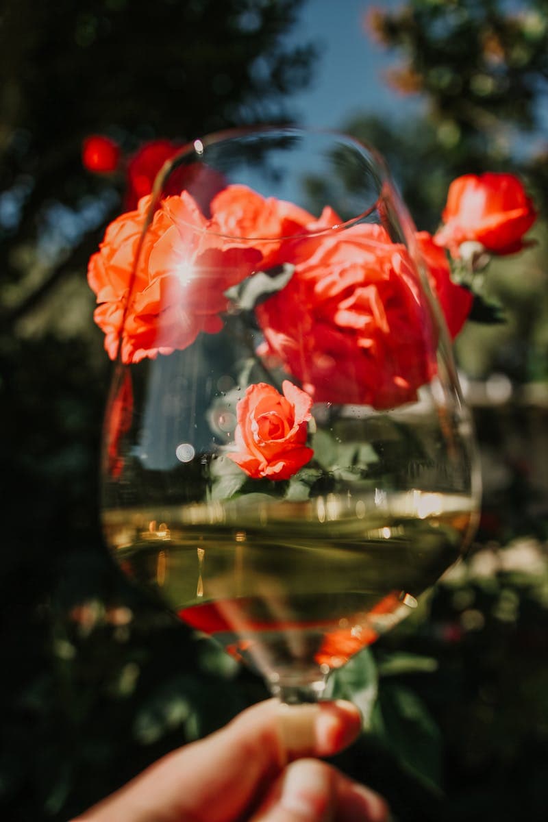 A vibrant view of red roses through a wineglass in a sunny Napa garden.
