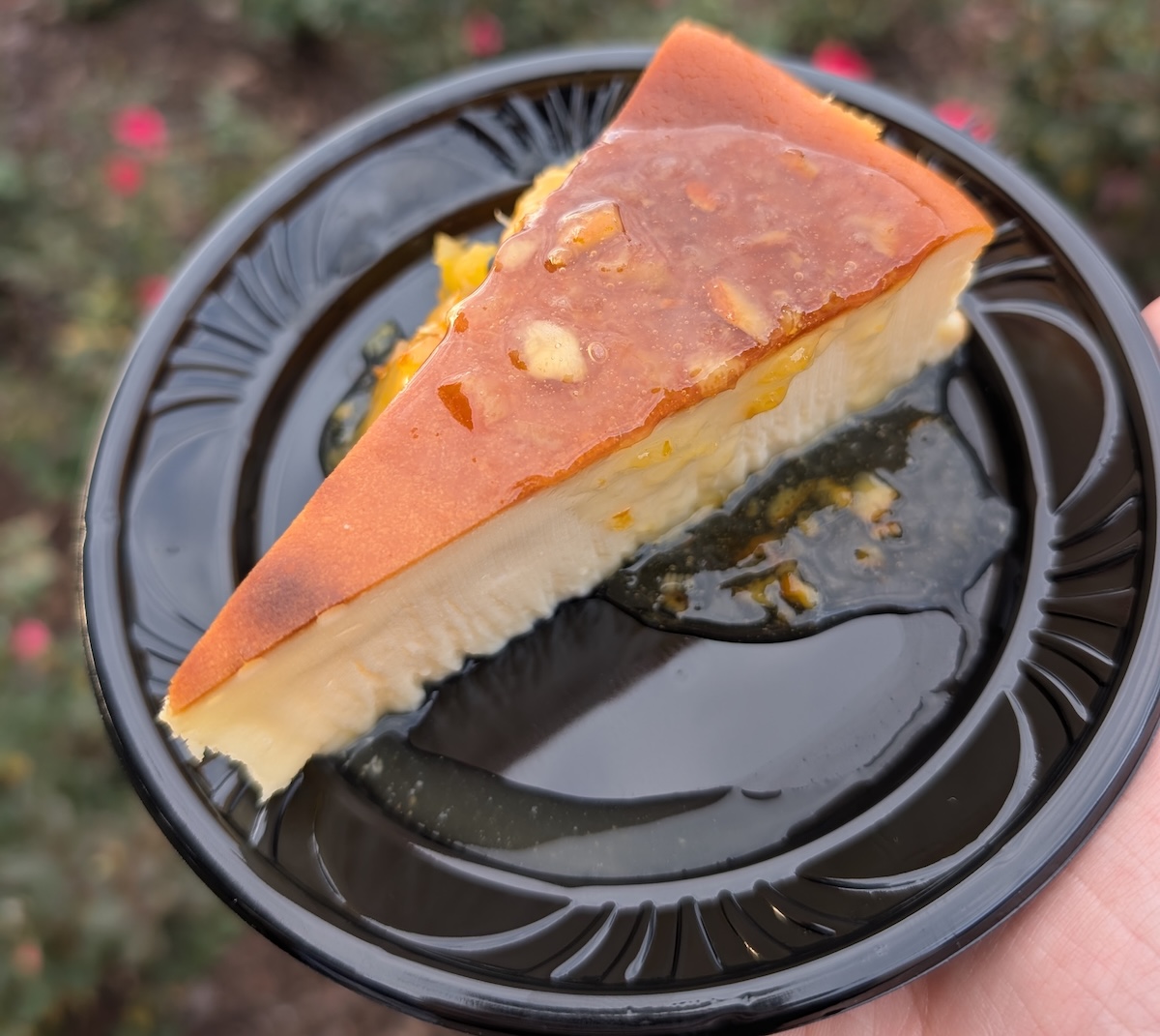 Cheesecake - EPCOT Food & Wine Festival 2025: Behind the Seeds, Test Track, and Tiffany