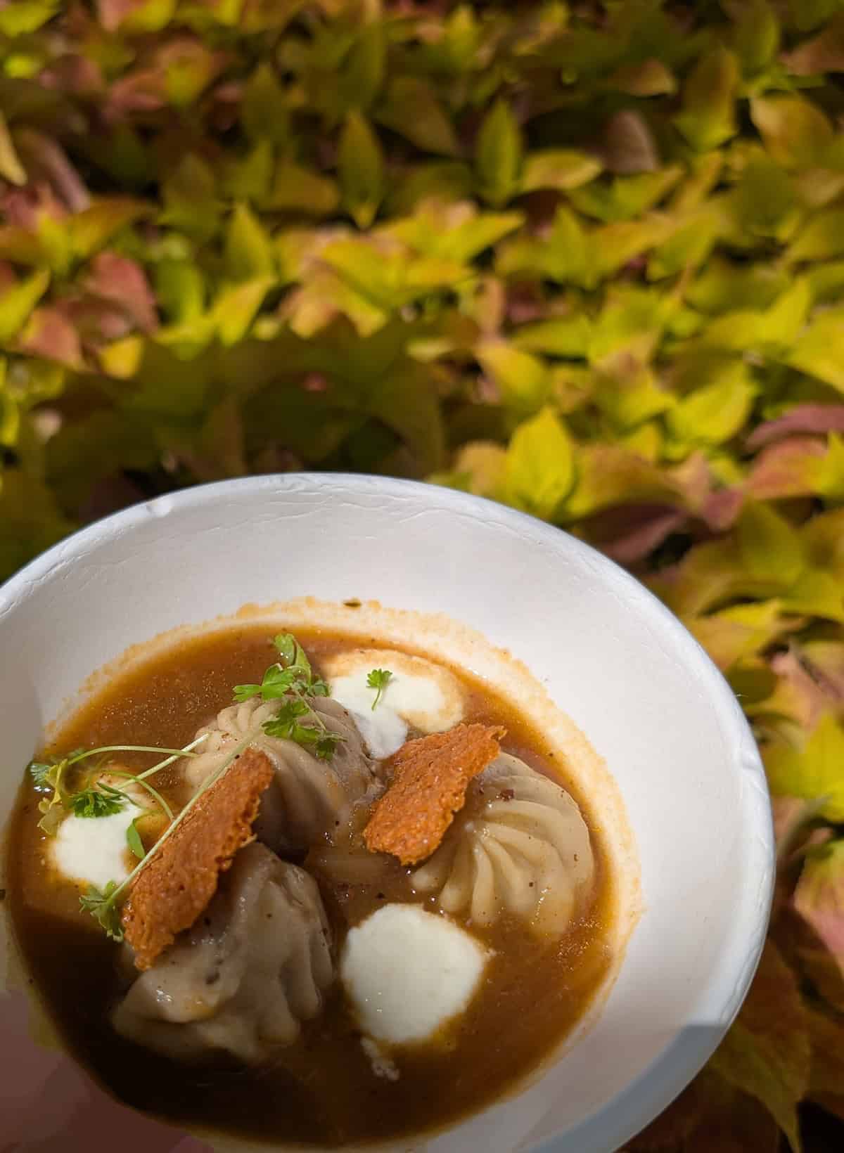 French onion dumplings - EPCOT Food & Wine Festival 2025: Behind the Seeds, Test Track, and Tiffany