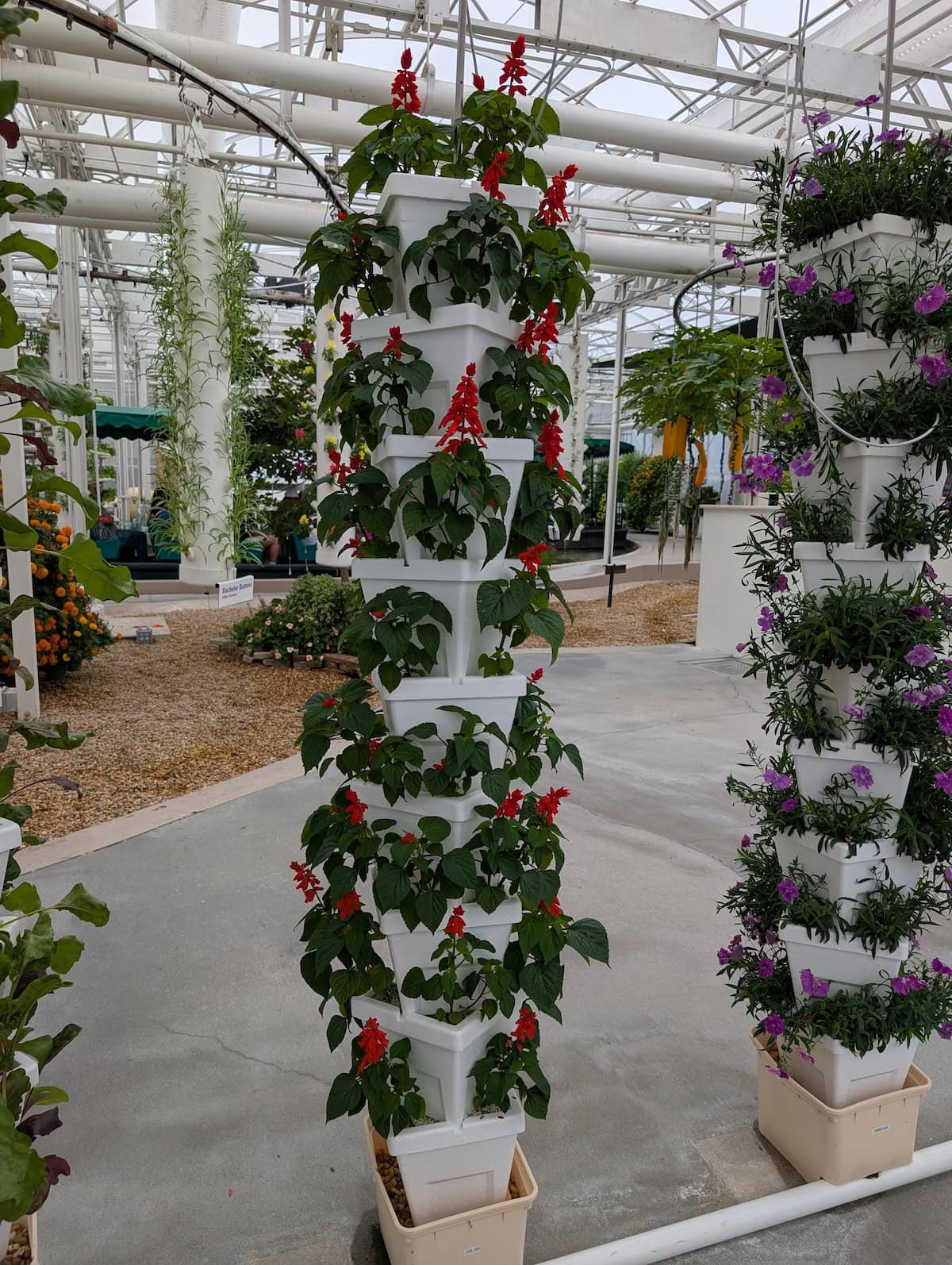 Vertical Gardening - EPCOT Food & Wine Festival 2025: Behind the Seeds, Test Track, and Tiffany