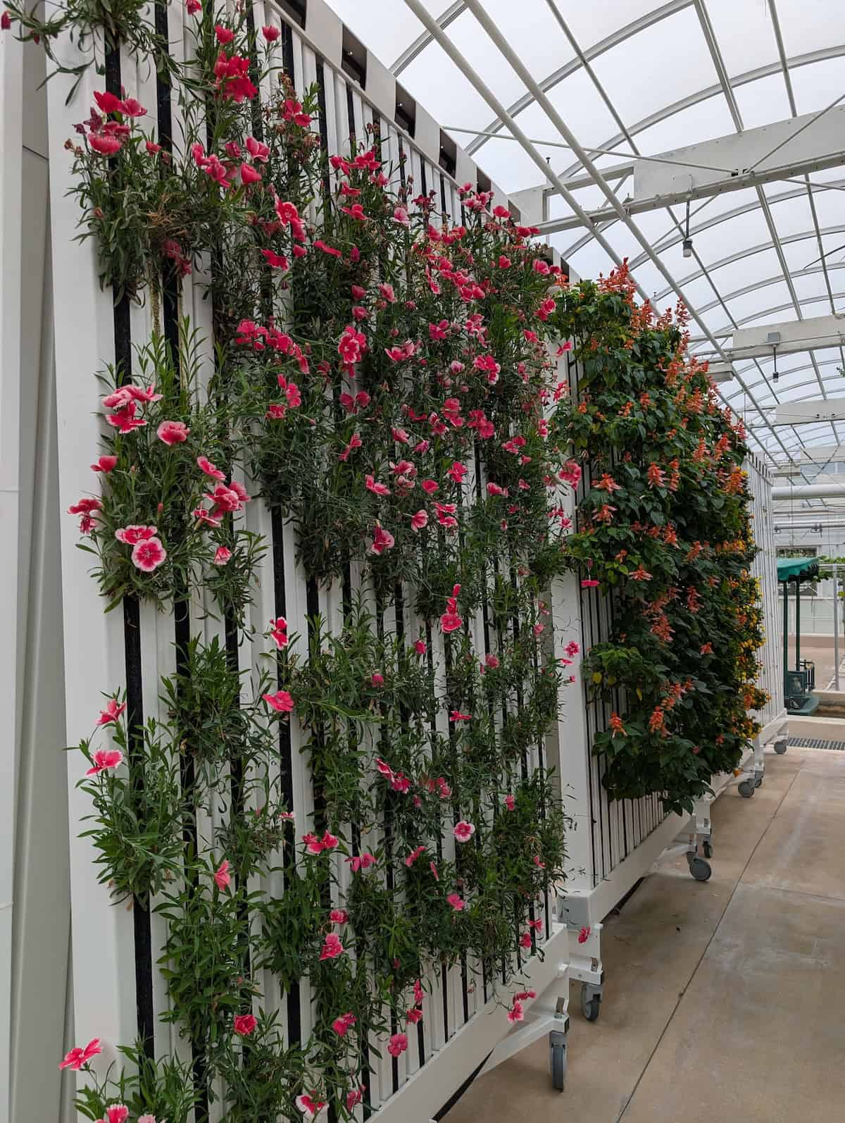 Vertical Garden - EPCOT Food & Wine Festival 2025: Behind the Seeds, Test Track, and Tiffany