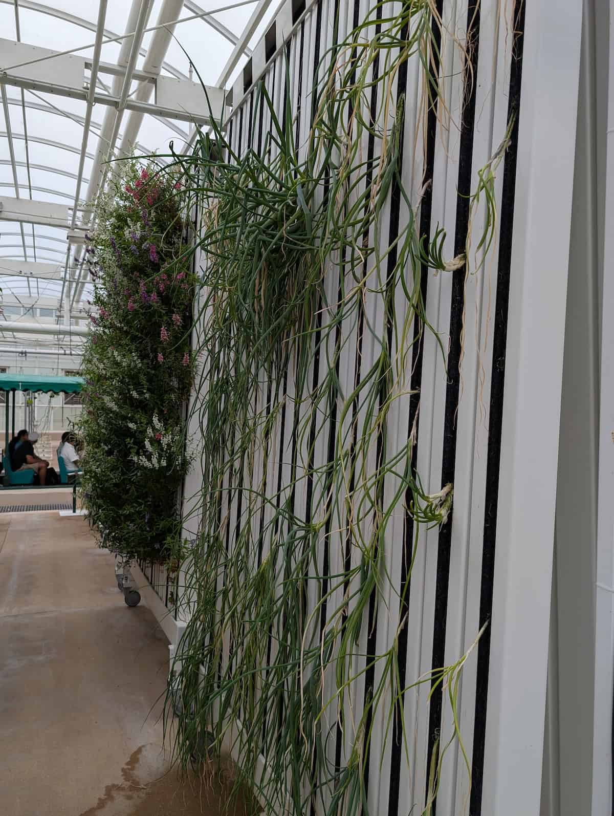 Green Onions - EPCOT Food & Wine Festival 2025: Behind the Seeds, Test Track, and Tiffany