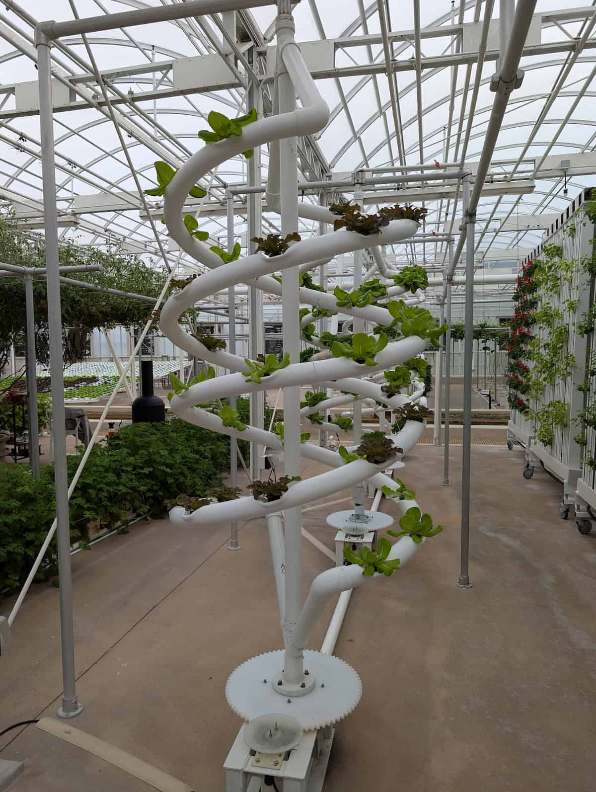 Vertical Garden - EPCOT Food & Wine Festival 2025: Behind the Seeds, Test Track, and Tiffany