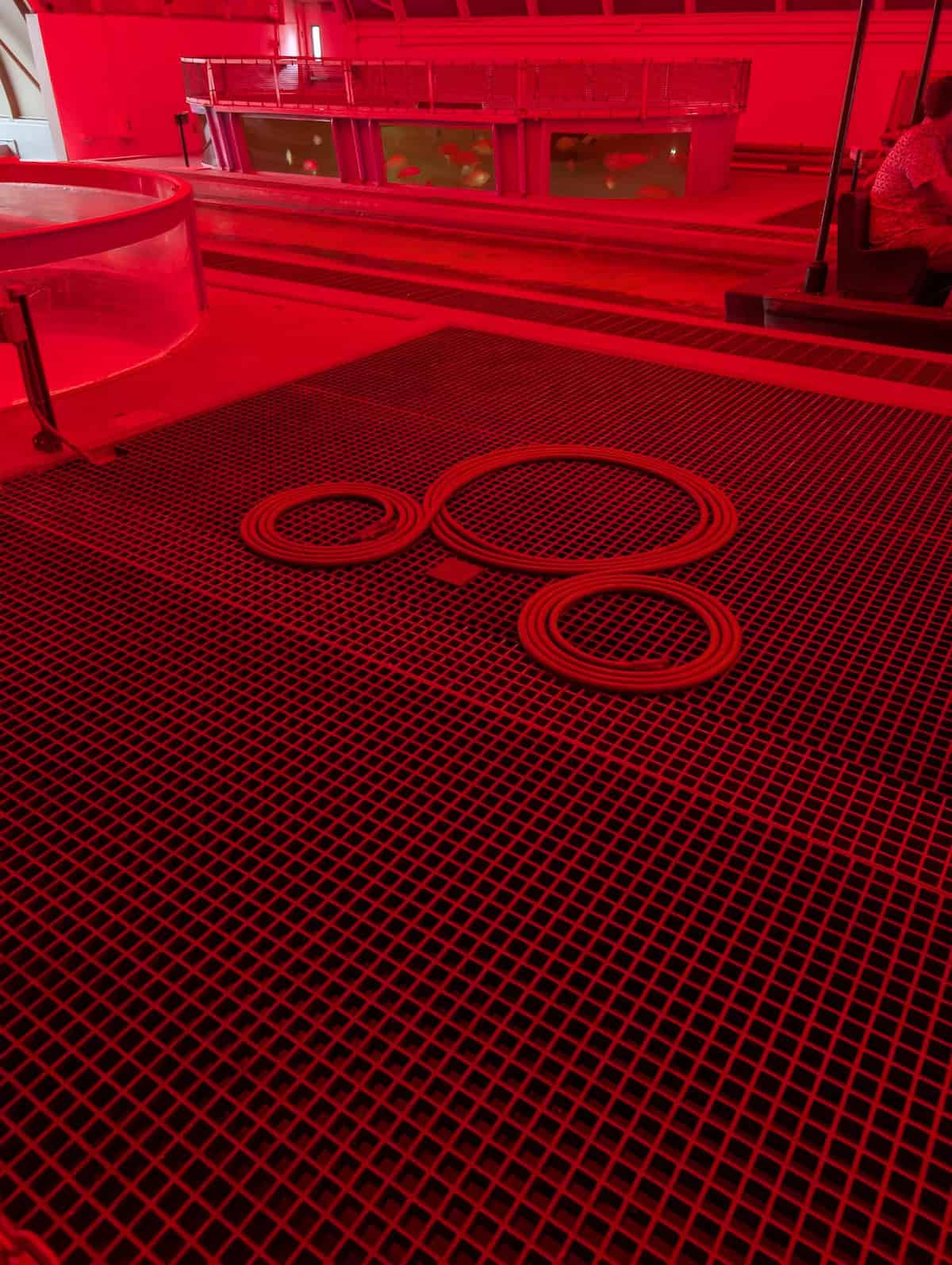 Hidden Mickey - EPCOT Food & Wine Festival 2025: Behind the Seeds, Test Track, and Tiffany