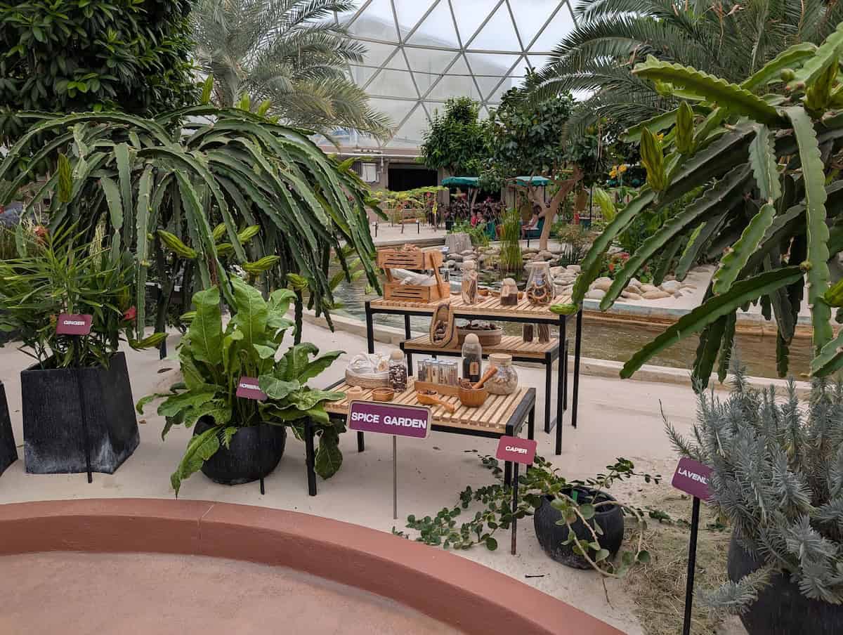 Spice Garden - EPCOT Food & Wine Festival 2025: Behind the Seeds, Test Track, and Tiffany