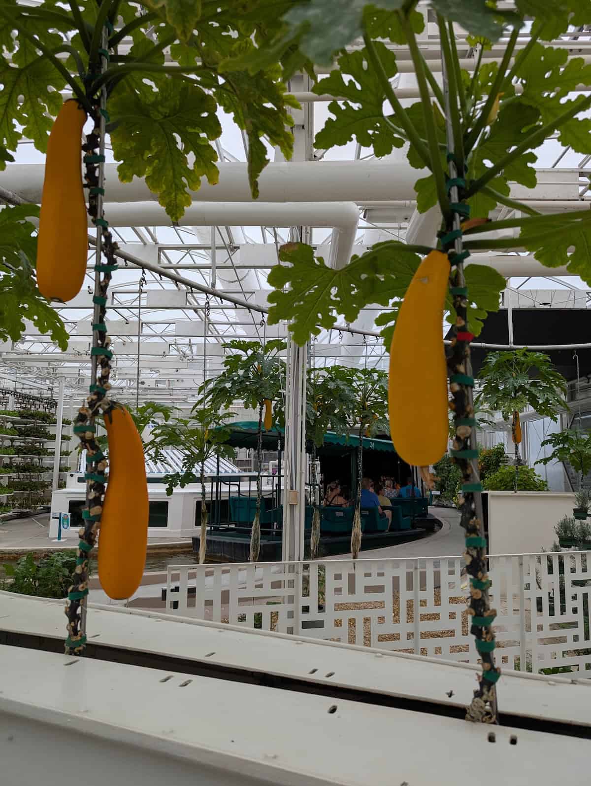 Squash - EPCOT Food & Wine Festival 2025: Behind the Seeds, Test Track, and Tiffany