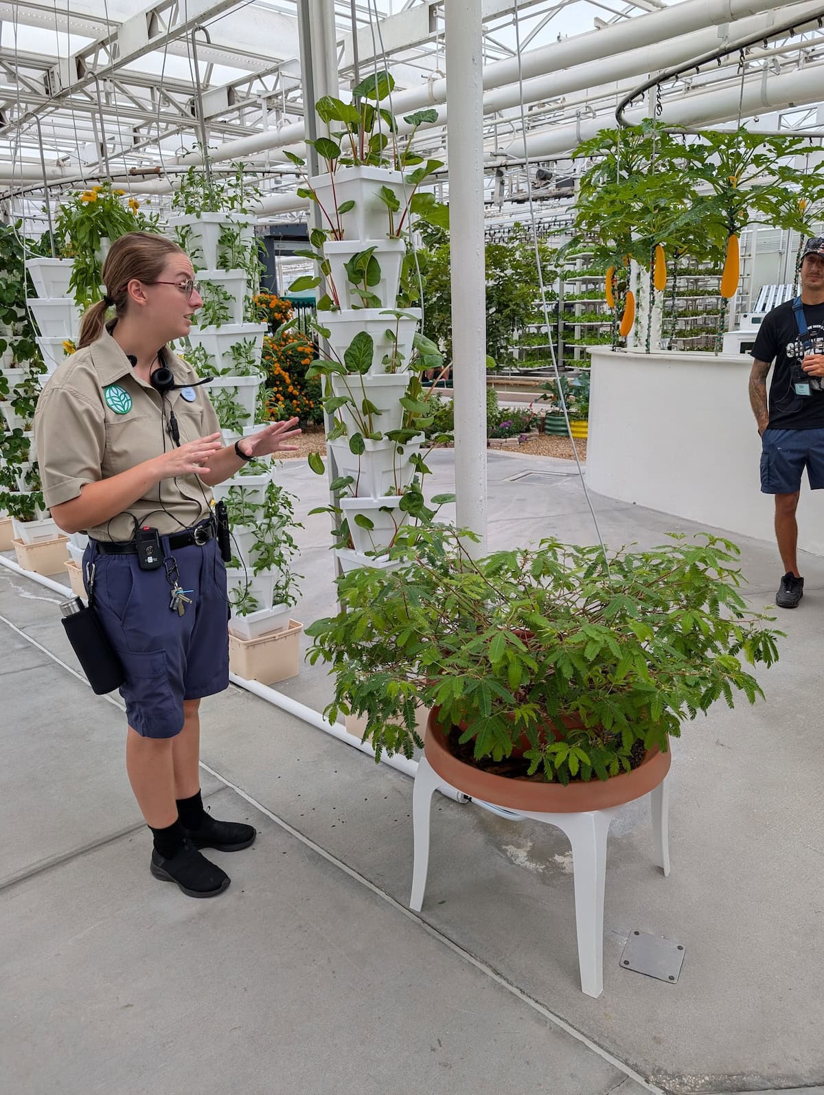 Sensitive Plant - EPCOT Food & Wine Festival 2025: Behind the Seeds, Test Track, and Tiffany
