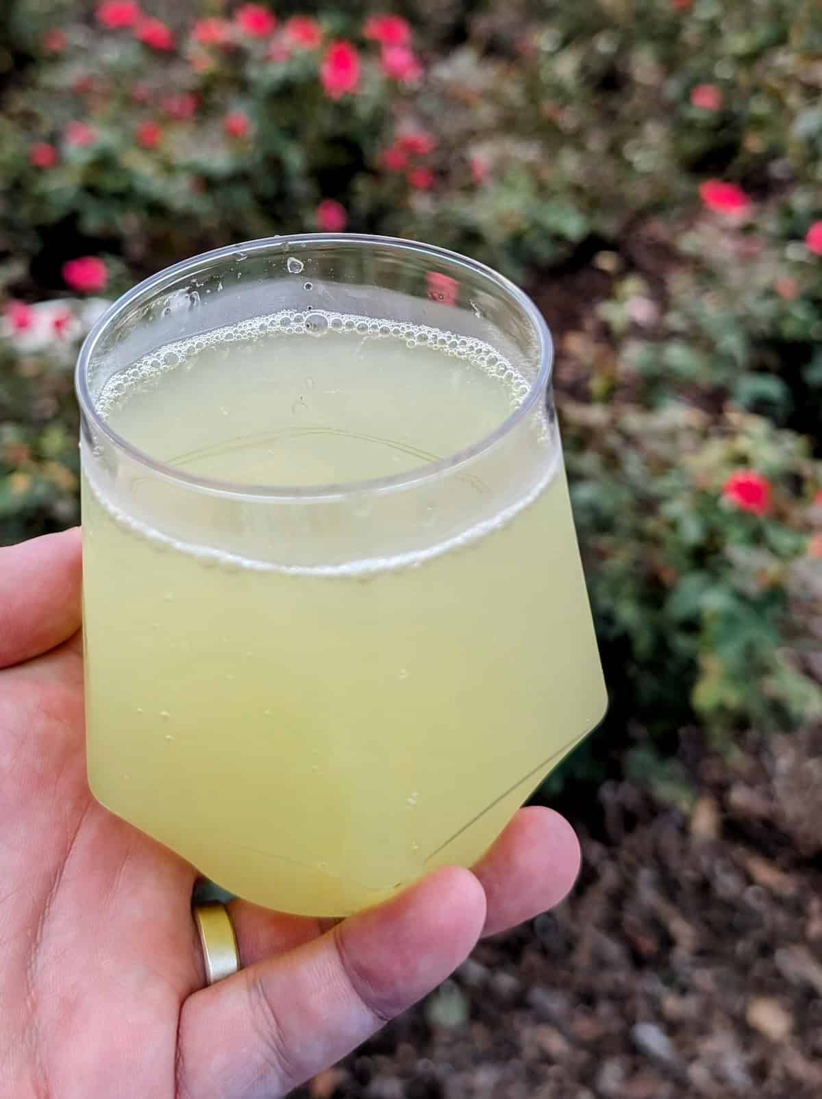 Lemonade - EPCOT Food & Wine Festival 2025: Behind the Seeds, Test Track, and Tiffany