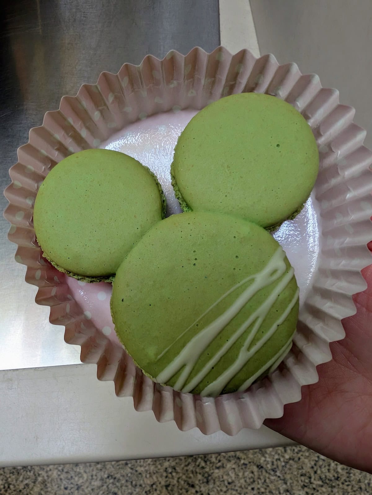 Macaron - EPCOT Food & Wine Festival 2025: Behind the Seeds, Test Track, and Tiffany