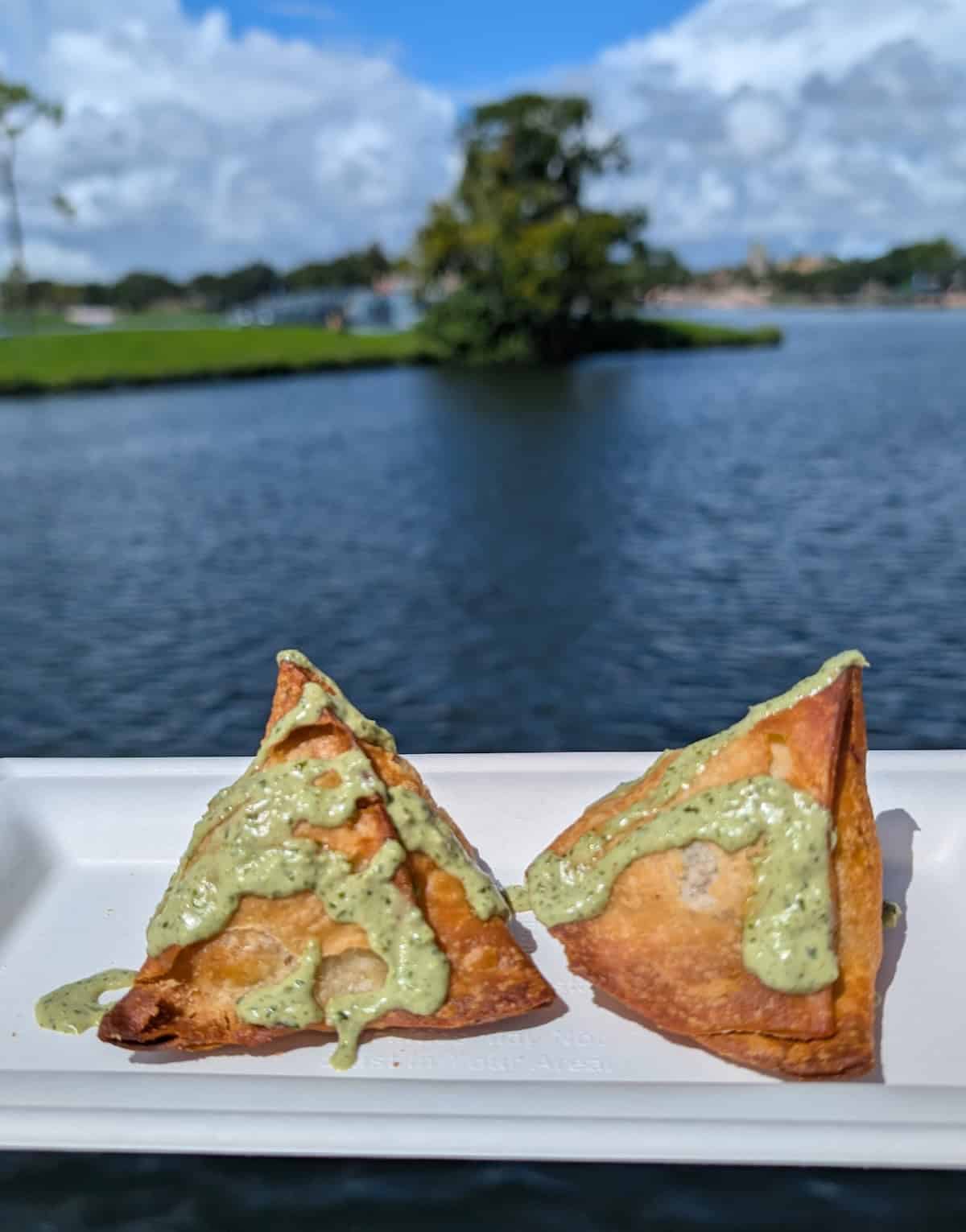Samosas - EPCOT Food & Wine Festival 2025: Behind the Seeds, Test Track, and Tiffany