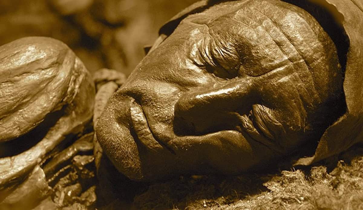 Tollund Man - When Nature Presses Pause: Bog Bodies, Frozen Climbers, and Human Hibernation - Frayed Passport