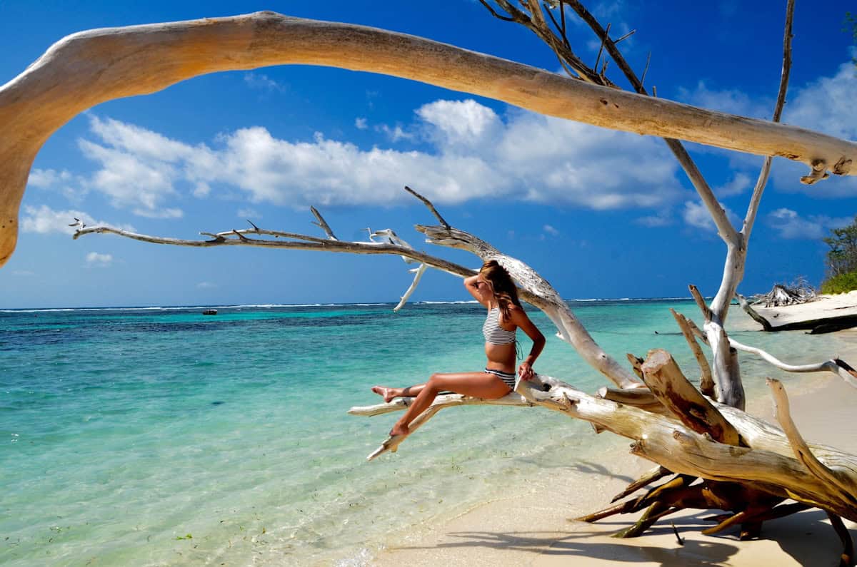 a woman sitting on a tree branch on a beach