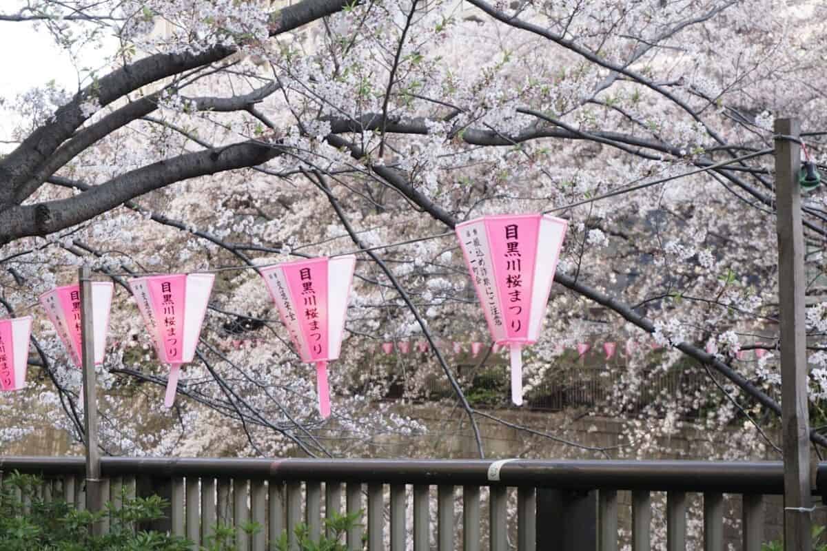 Photo by Ann Kuro Slow-Travel Japan: Tokyo, Kyoto, Hiroshima, and Coastal Detours