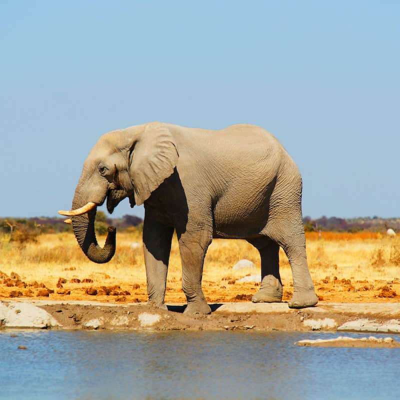 Destinations - Africa - Southern Africa - Frayed Passport