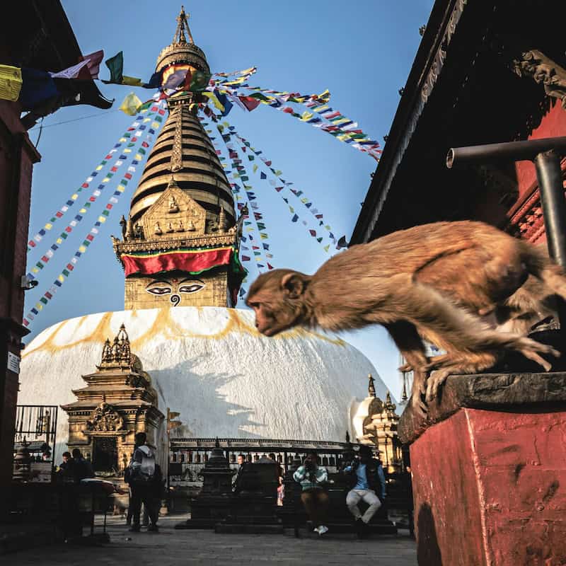 Destinations - Asia - Southern Asia - Frayed Passport