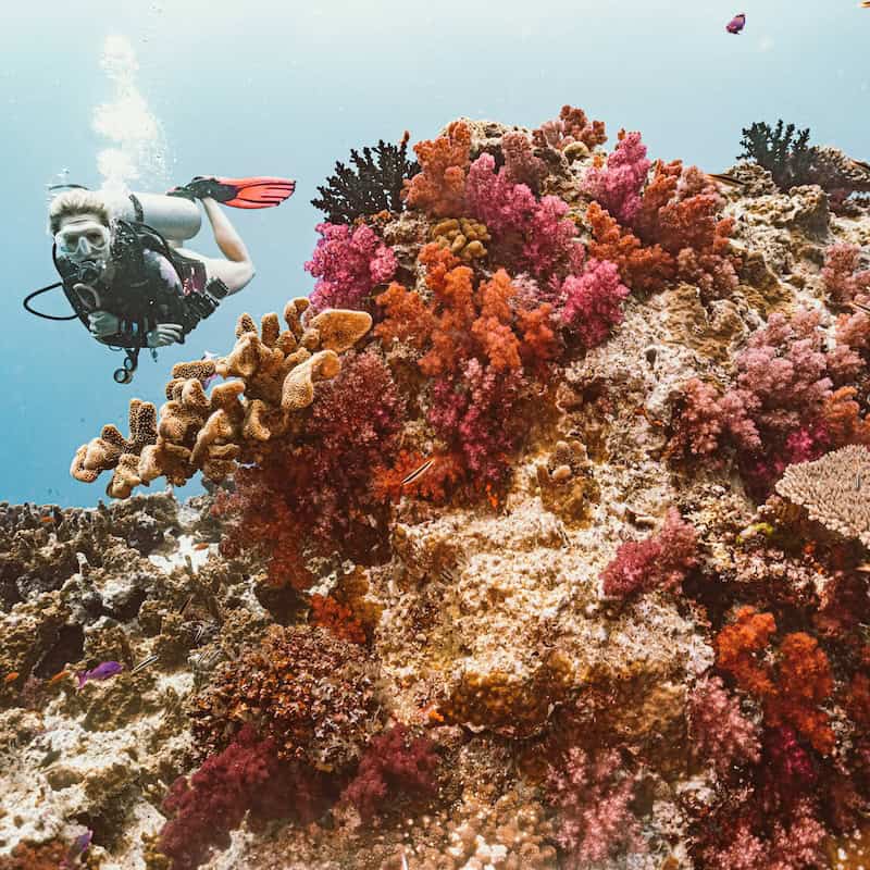 Destinations - Oceania - Melanesia - Frayed Passport