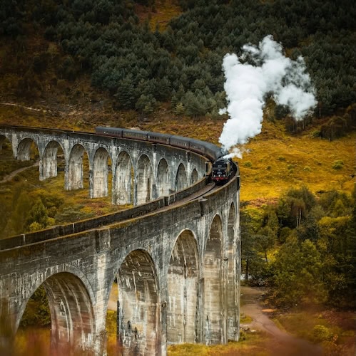 Go - Trains and Cruises - Frayed Passport