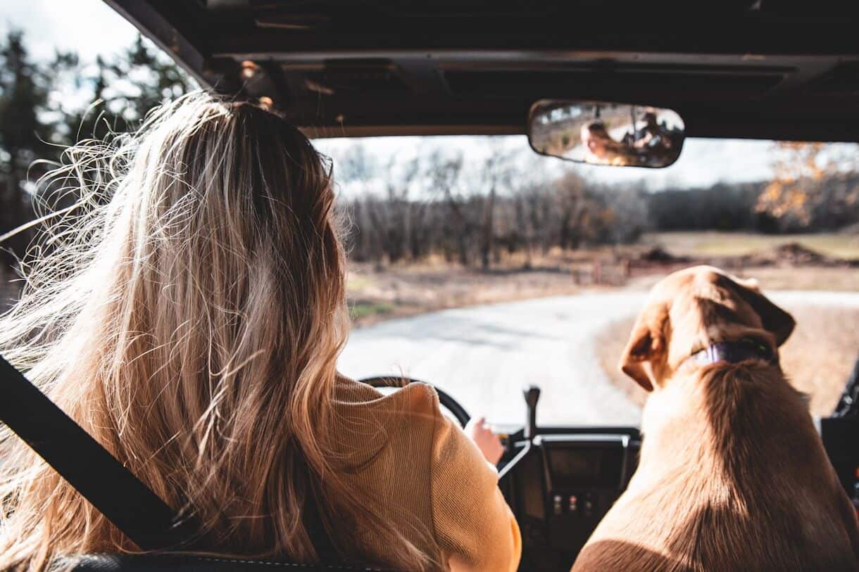 How To Make Driving Less Exhausting - Frayed Passport - woman in brown long sleeve shirt sitting on car seat beside brown short coated dog during