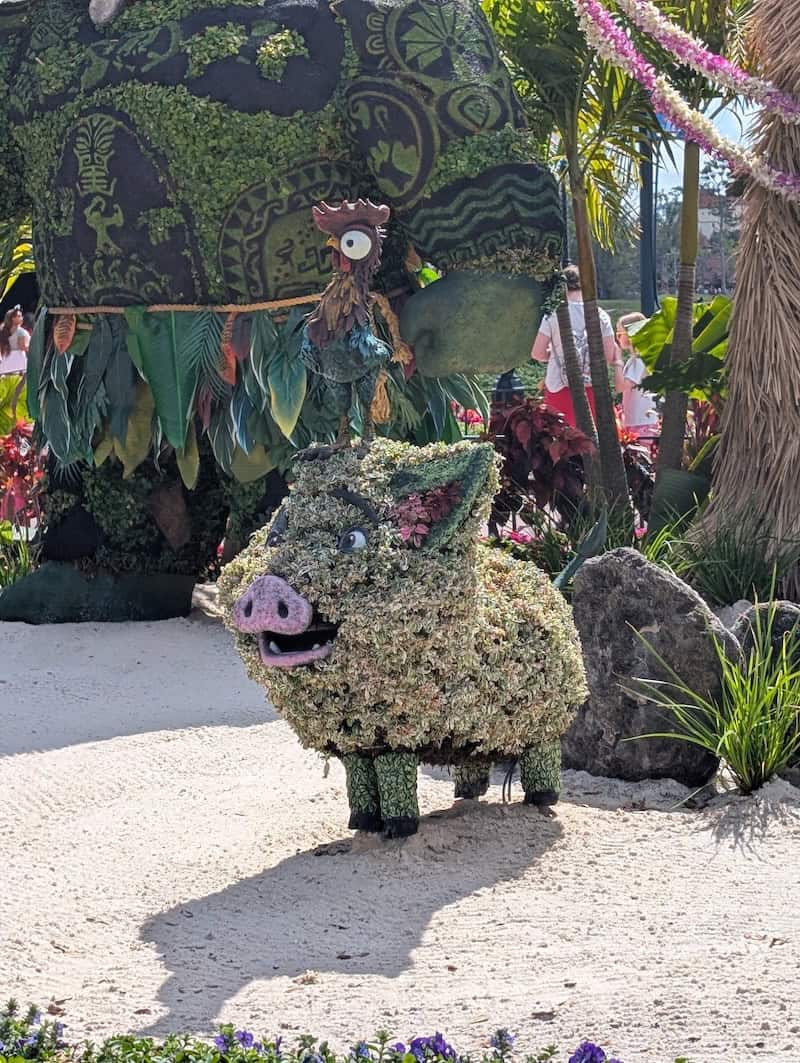 EPCOT International Flower and Garden Festival - Frayed Passport - Pua and Hei Hei