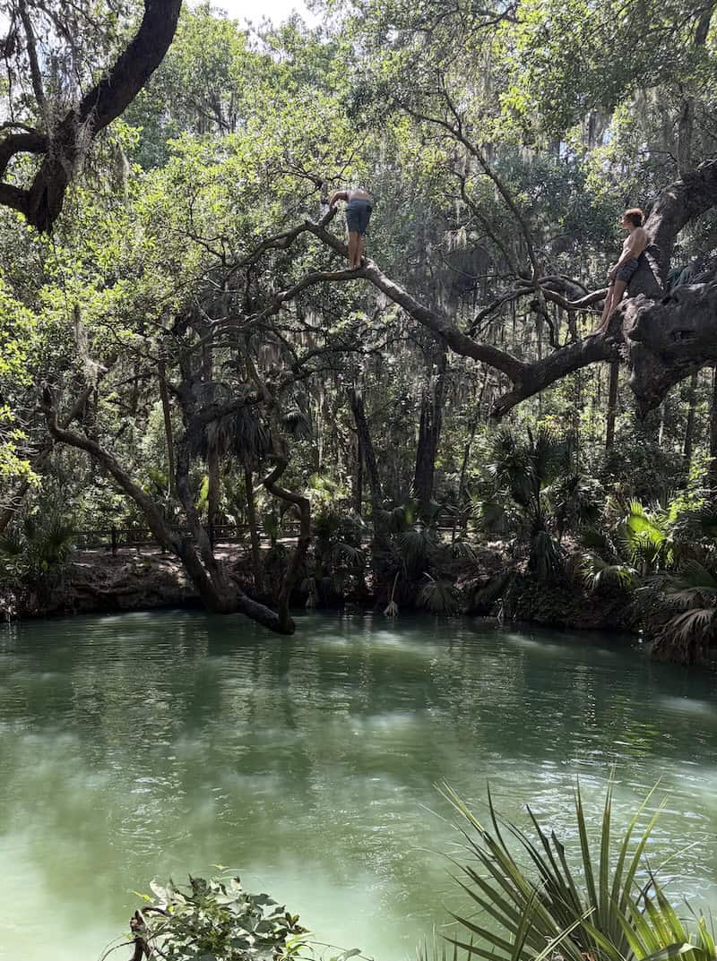 Hope Springs Eternal: Biking, Birding and Bathing in Central Florida - Frayed Passport - Green Springs