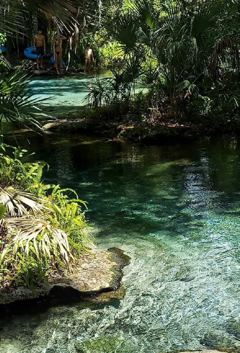 Hope Springs Eternal: Biking, Birding and Bathing in Central Florida - Frayed Passport - Kelly Tubers