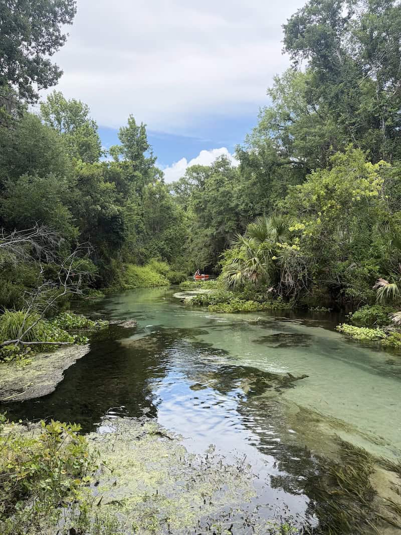 Hope Springs Eternal: Biking, Birding and Bathing in Central Florida - Frayed Passport - Kelly End
