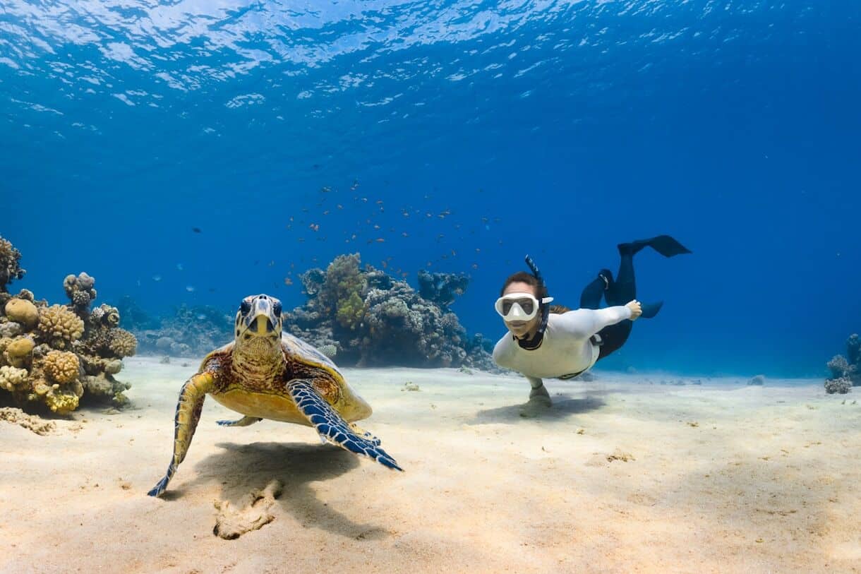Why you should go scuba diving in Florida - Frayed Passport - a sea turtle and person swimming next to each other